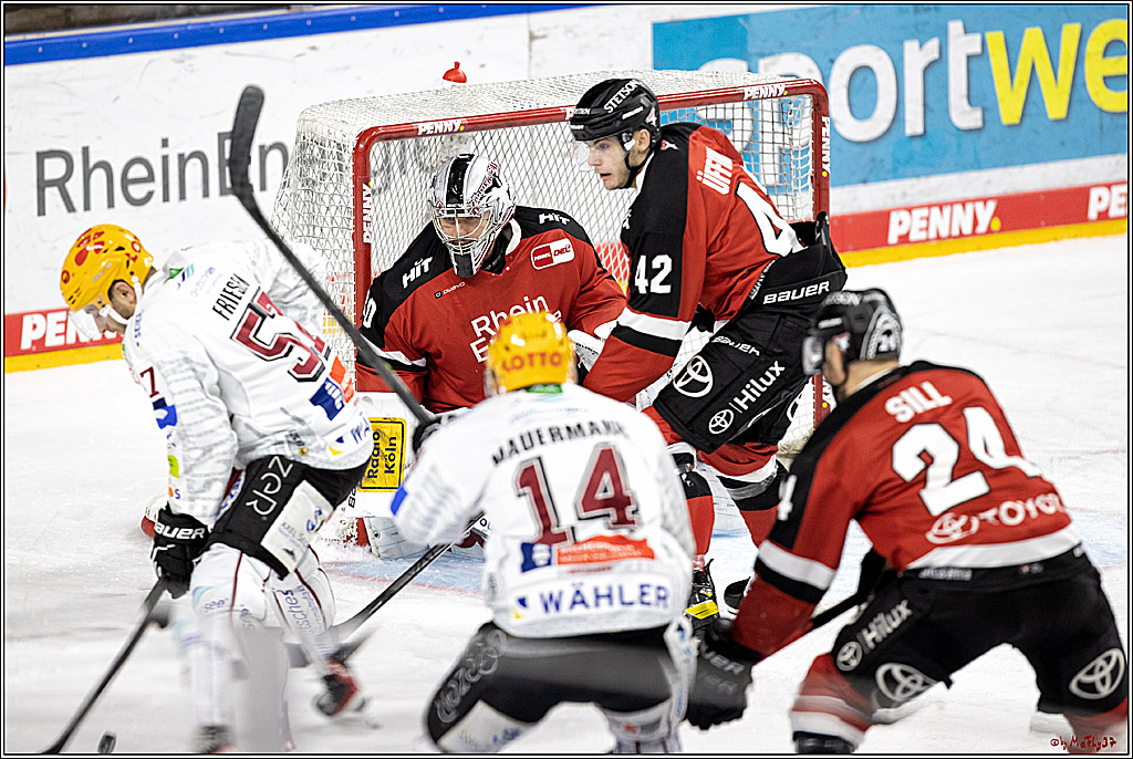 PENNY DEL;  Koelner Haie - Fischtown Pinguins Bremerhaven; Koeln, 03.01.2022